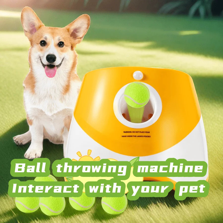 Dog  Automatic Ball Launcher