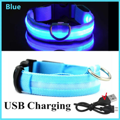 USB Rechargeable Luminous Collar