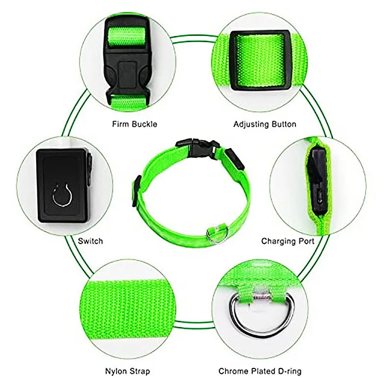 USB Rechargeable Luminous Collar