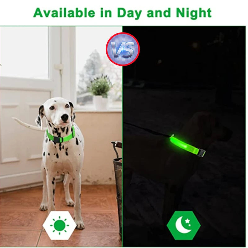 USB Rechargeable Luminous Collar