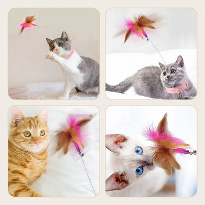 Interactive Cat Toys