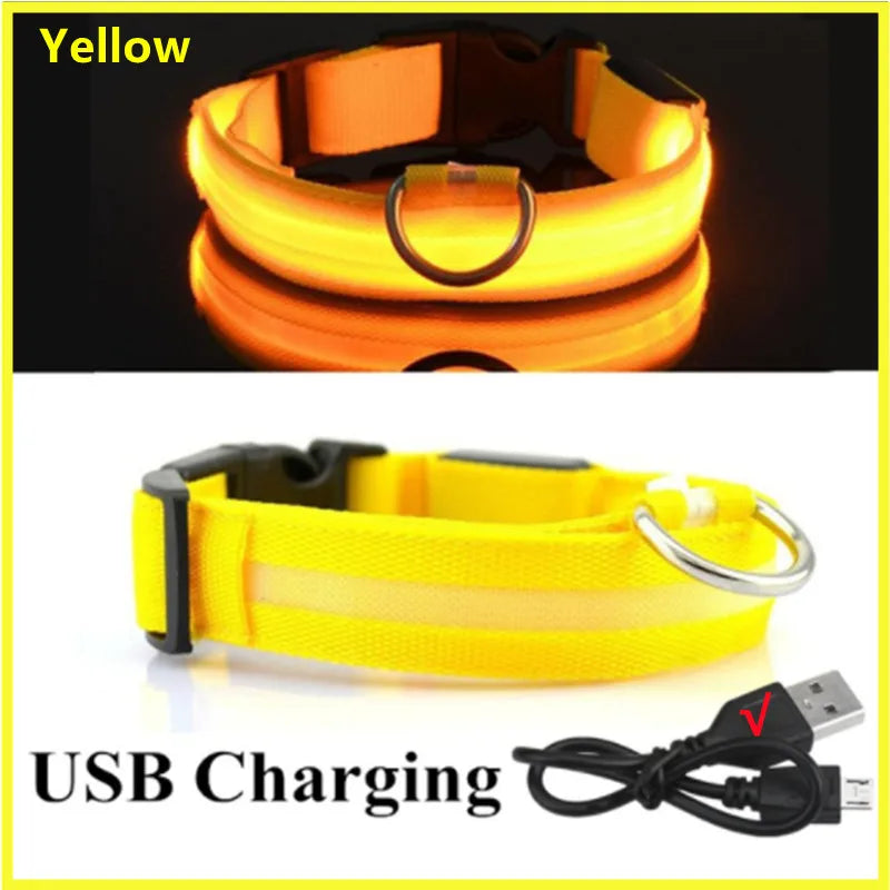 USB Rechargeable Luminous Collar