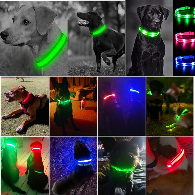 USB Rechargeable Luminous Collar