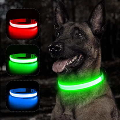 USB Rechargeable Luminous Collar