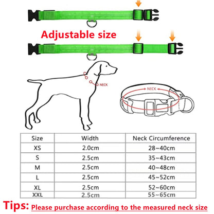 USB Rechargeable Luminous Collar